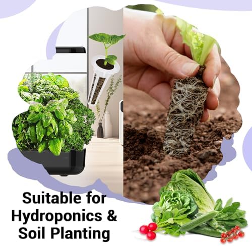 Hydroponic Salad Seed Pod Kit - 8 Pods Veggie Starter Kit for All Hydroponics Growing Systems with 600+ Seeds: Cherry Tomato, Butterhead, Romaine, Spinach, Mini Cucumber, Radish - Image 5
