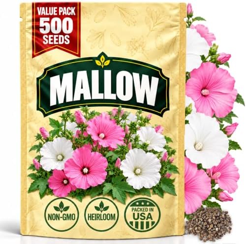 Mallow Seeds for Planting, Lavatera trimestris, Heirloom Non-GMO Rose Mallow Tree Mallow Flower Seeds, High Germination Pink White Annual Flower for Cottage Gardens Borders and Cut Flowers, 500 Count by WilyFox