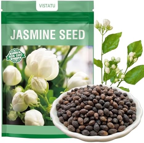 420+ Climbing Jasmine Flower Seeds Fragrant Plant for Planting Garden Home Four Seasons Evergreen Silver Jasmine Garden Balcony Climbing Flower Non-GMO by VISTATUSEED