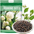 420+ Climbing Jasmine Flower Seeds Fragrant Plant for Planting Garden Home Four Seasons Evergreen Silver Jasmine Garden Balcony Climbing Flower Non-GMO by VISTATUSEED
