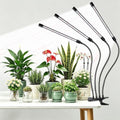 Hywyimlait Black Clip Grow Lights for Indoor Plants, 168 Full Spectrum LEDs Clip Plant Growing Lamps with Flexible Gooseneck and 4/8/12/18H Timer, 3 Spectral Modes, 10 Dimmable Levels (4 Head 1 Pack) by Hywyimlait