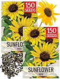 Seed Needs Wild Sunflower Seeds to Plant Cut Flowers - 2 Packs by SeedNeeds