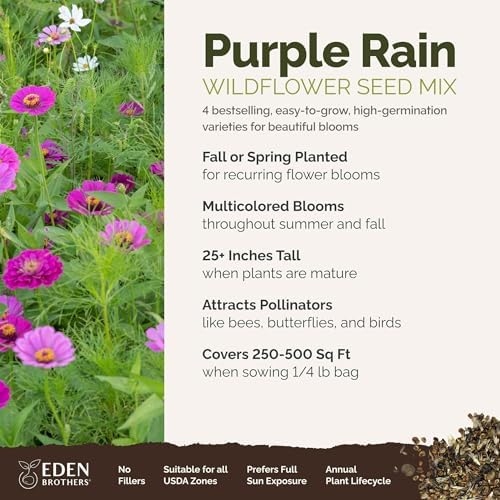 Eden Brothers Purple Rain Flower Mixed Seeds for Planting, 1/4 lb, 120,000+ Seeds with Zinnia Purple Prince & Violet Queen, Cosmos, Attracts Pollinators, Plant in Spring, Zones 3, 4, 5, 6, 7, 8, 9, 10 - Image 2