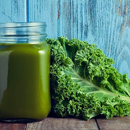 Organic Kale Seeds (Vates Blue Scotch Curled) - Approx 500 Seeds - USDA Organic, Non-GMO, Open Pollinated, Heirloom, USA Origin (Pack of 2) - Image 7