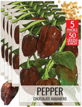 Seed Needs Chocolate Habanero Pepper Seeds to Plant Vegetables - 5 Packs by SeedNeeds