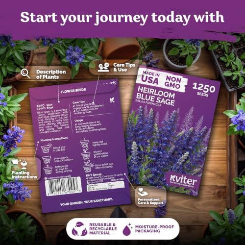1,250 Blue Sage Heirloom Flower Seeds for Planting, Salvia Farinacea - Image 2