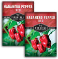 Red Habanero Pepper Seeds for Planting (2 Pack) by SurvivalGardenSeeds