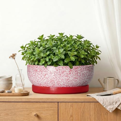Succulent Pots 13 Inch, Ceramic Bonsai Tree Pots, Texture Red - Image 6