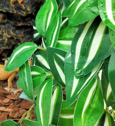 Fake Reptile Plants for Terrarium,Hanging Plant with Suction Cup - Image 5