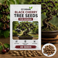 Dwarf Black Cherry Bonsai Tree Seeds for Planting (40 Seeds) - Great for Bonsai, Heirloom Fruit Tree Seeds for Indoor & Outdoor Planting, Non GMO Bonsai Seed Kit for Home Garden Growing by CZGrain