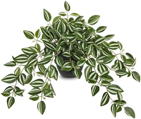 Briful Artificial Potted Plant Indoor, 19.6" Faux Watermelon Peperomia Trailing Plant in Black Pot, Realistic Fake Plants with Cascading Green Leaves for Cabinet Shelf Bathroom Office Desk Home Decor by Briful
