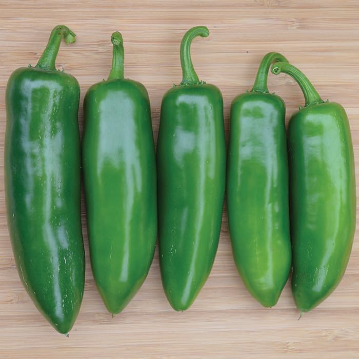 Fool You Jalapeno Live Pepper Plants, Non-GMO, 4"-6" Tall, 2 Pack - Image 2