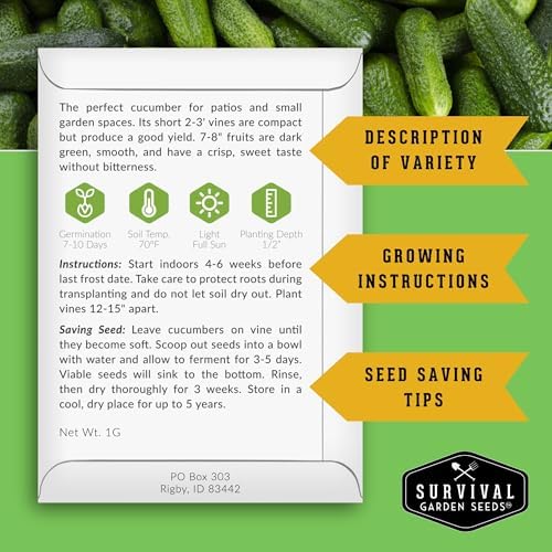 Spacemaster Cucumber Seeds for Planting - Bush Style Cucumbers (1 Pack) - Image 2