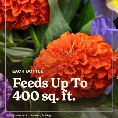 Miracle-Gro LiquaFeed Bloom Booster Flower Food, 16 fl. oz. (2 Pack) - Image 3
