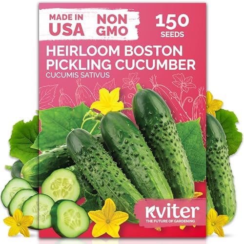 150 Boston Pickling Cucumber Heirloom Vegetable Seeds, Cucumis Sativus by KVITER