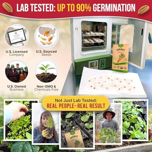 Imperator 58 Carrot Seeds Pack 2G - Over 1800 of Non-GMO Heirloom Carrot Seeds for Planting Vegetables in Individual Seed Packet, Vegetable Seeds for Planting Indoor & Outdoor Garden - Image 2