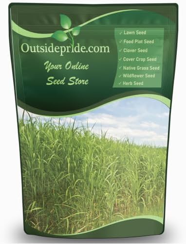 Outsidepride Switchgrass Seed - 25 lbs. Perennial Hardy, Drought & Flood Tolerant Native Grass Seed Ideal Fast-Growing Grasses for Erosion Control, Wildlife Forage & Food Plots, Thrives in Poor Soil by Outsidepride