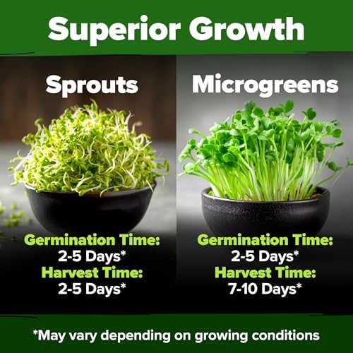 HOME GROWN Alfalfa Sprout Seeds, 8 oz Bulk Pack - Image 5