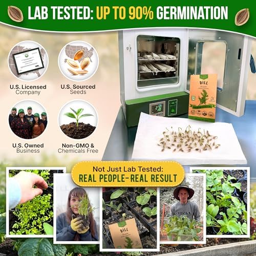 Organo Republic Dill Bouquet Seeds Pack 5 G - Over 1,400 Non-GMO Heirloom Dill Seeds for Planting Herbs in Individual Seed Packet, Herbs Seeds for Planting Home Garden Indoor & Outdoor Gardening - Image 2