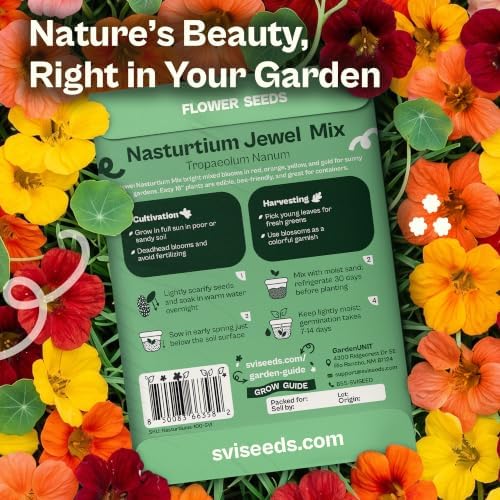 SVI 100 Mix Jewel Nasturtium Seeds (Tropaeolum nanum) – Dwarf Nasturtiums Seed Packets, Wildflower Seed Mix – Cut Flower Seeds Packets for Containers, Butterfly Garden, Flower Beds & Outdoor Garden - Image 2