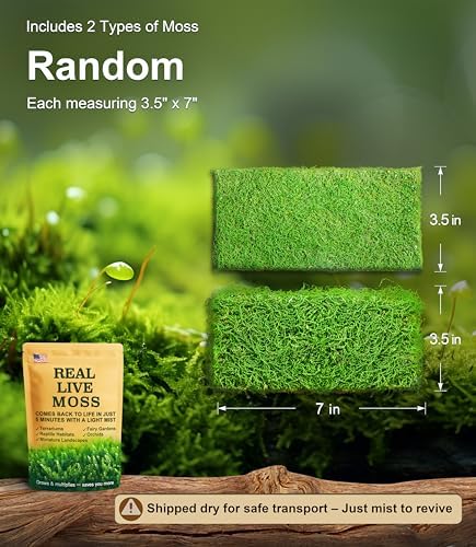 Live Moss Duo Pack 2 Types of Real Live Sheet/Sphagnum Moss for Terrariums, Terrarium Mosses Landscaping, Reptile Tank Accessories, Snake & Gecko Humidity Substrate Mosses for Crafts & Plant Décor - Image 2