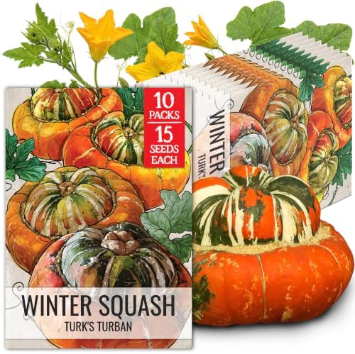 Seed Needs Turk's Turban Squash Seeds to Plant Vegetables - 10 Packs by SeedNeeds