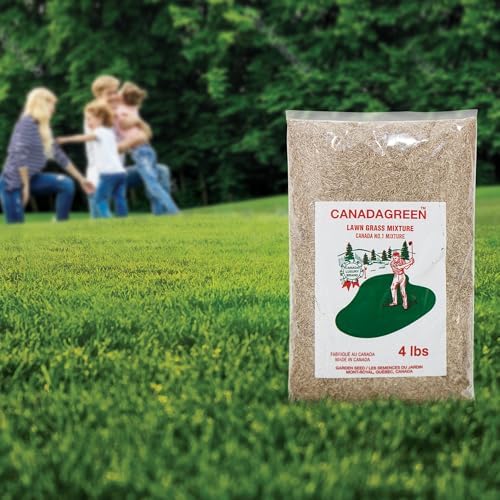 Canada Green Grass Lawn Seed - 4 Pound Bag Grows Healthy Rich Green Fast Growing Grass Lawn Seed Plants Yard Garden - Image 2