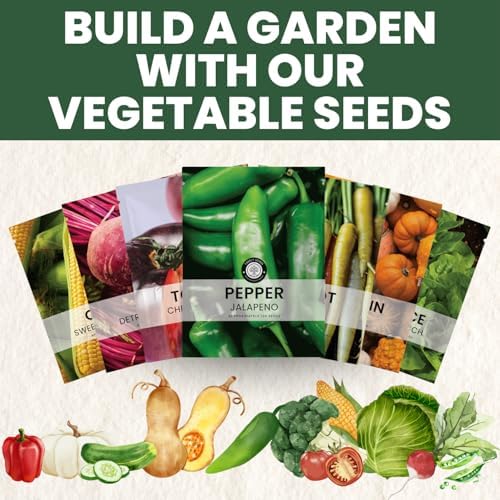 Jalapeno Pepper – 125 Premium Seeds for Planting – Spicy, Productive, Garden-Favorite Heirloom for the 2026 Season – 1 Gram Pouch - Image 6