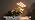 Grow Lights for Indoor Plants, Full Spectrum Tri-Head Clip Plant Lights - Image 7