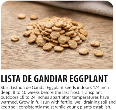 Listada de Gandia Eggplant Seeds for Planting | 100 Seeds | Striped Fruit - Image 6