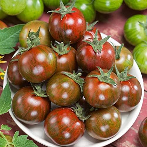 Park Seed Cherry Tomato Seeds, Planting Vegetables, Easy to Grow, Non-GMO, Variety of Colors and Sizes, Spring Garden, Gum Drop Brown, Pack of 30 by ParkSeed