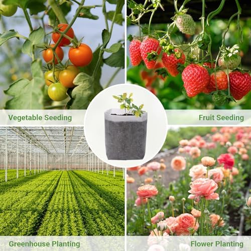 GREANER 12.6"x13.4" Seedling Bags, 25Pcs Nursery Growing Bags for Growing Vegetables, Fabric Pots for Seed Planting Succulents Vegetable Flower Potato Tomato - Image 5