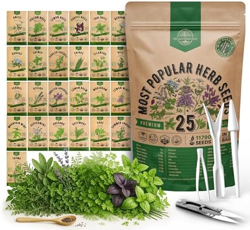 25 Most Popular Herb Seeds Variety Pack - 11,700 Non-GMO Heirloom Seeds for Planting Herbs in Individual Seed Packets for Hydroponic, Indoor & Outdoor Gardening by OrganoRepublic