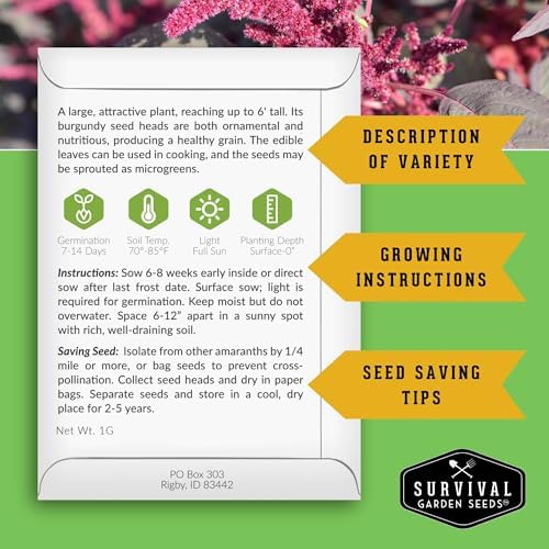 Red Amaranth Seeds for Planting - Survival Garden Seeds (3 Packs) - Image 2