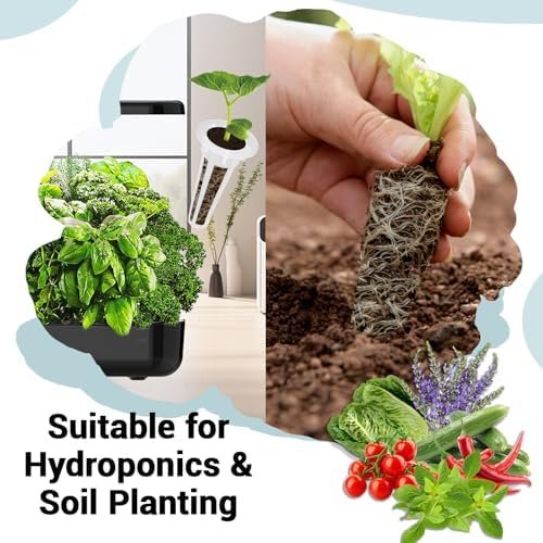 Assorted Seed Pods for All Hydroponics Growing Systems, 8 Pods with 600+ Seeds of Romaine, Basil, Cherry Tomato, Cucumber, Cayenne Pepper and Lavender - Image 4