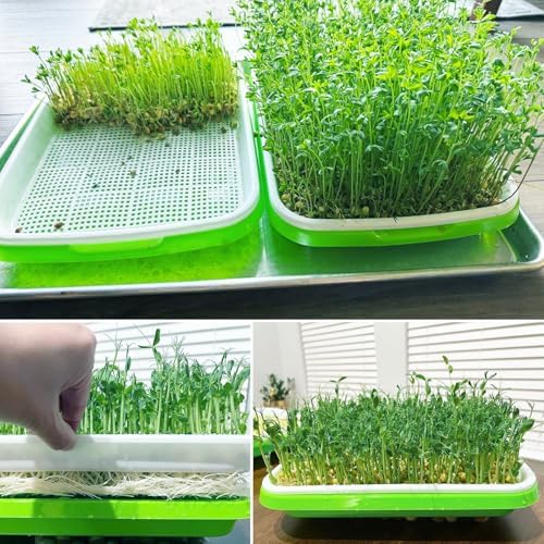 20 Pack 12.6 x 10 x 1.8 inch Microgreens Growing Trays, BPA-Free Sprouting Trays, Germination Tray for Beans, Wheatgrass & Microgreens, Home, Kitchen & Garden - Image 5