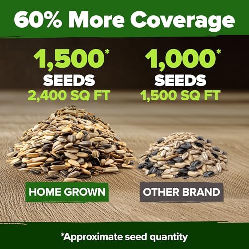 HOME GROWN Sunflower Mix Seeds, 9 Variety, 1,500+ Seeds - Image 4