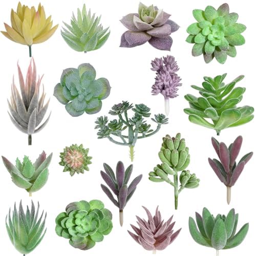 18 Pcs Artificial Succulent Plants Unpotted Premium Fake Plants Double Flocked Succulents Realistic Textured Faux Succulents DIY Floral Decor for Home Garden Arrangement Office Party Indoor Outdoor by Unknown