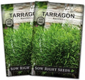 Sow Right Seeds - Russian Tarragon Seed for Planting Perennial Herbs 2pk by SowRightSeeds