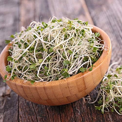 Handy Pantry Organic Broccoli Sprouting Seeds 2.5 Pound Resealable Bag - Image 4