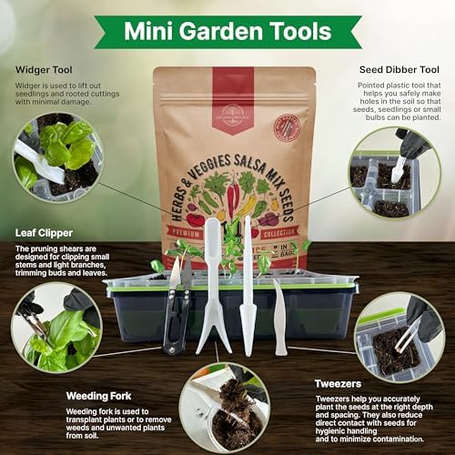 14 Herb, Tomato & Chili Pepper Gardening Seeds Salsa Variety Pack for Outdoors & Indoor Garden 5180+ Non-GMO Heirloom Seeds Cilantro, Basil, Oregano, Parsley, Onion, Pepper Tomato Seed - Image 4