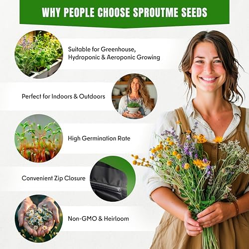 SproutMe Rosemary 100+ Seeds for Planting, Non-GMO Heirloom Culinary Herb - Image 4