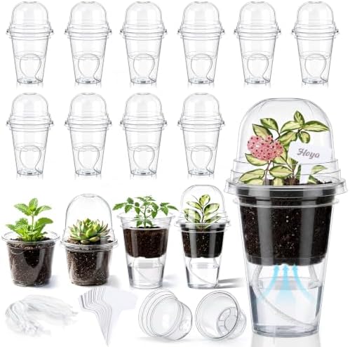 15 Pack 5" Self Watering Propagation Pots Clear, Plain Cup by Ferrochef