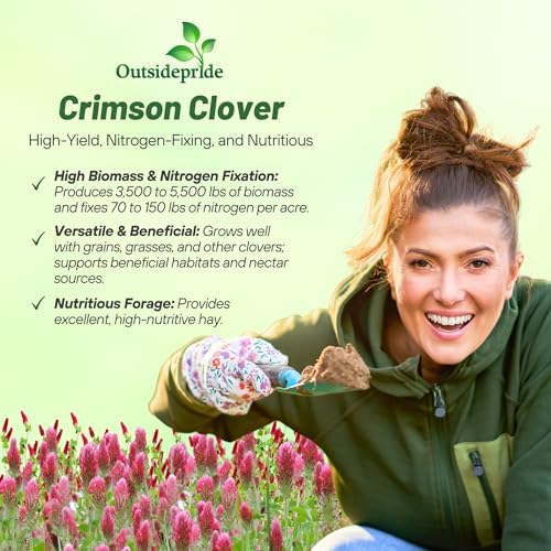 Outsidepride Crimson Clover Seeds - 10 lbs. Annual, Nitrocoated, & Inoculated Ground Cover Seeds, Ideal Clover Seed for Lawn, Cover Crop, Pasture, Hay, Green Manure & Wildlife Forage - Image 5