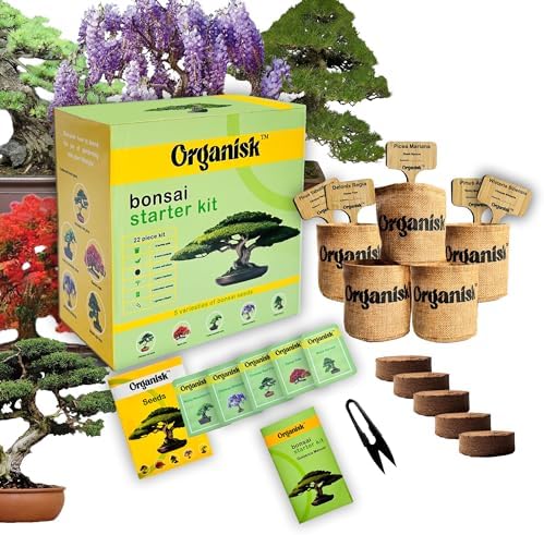 Bonsai Starter Kit - 5 Unique Tree Types, Special DIY Garden Hobby Kits - Great for Plant Lovers, for Kids, Men, Women, and Bonsai Enthusiasts by Organisk