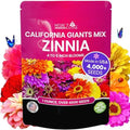 NatureZ Edge Zinnia Seeds for 2026 Planting Outdoors, Over 4000 Flower Seeds, 1 Oz, Non GMO Made in USA, Bulk Semillas De Flores para Sembrar, California Giants, Easy to Grow Zinnia Seed Mix by NatureZEdge