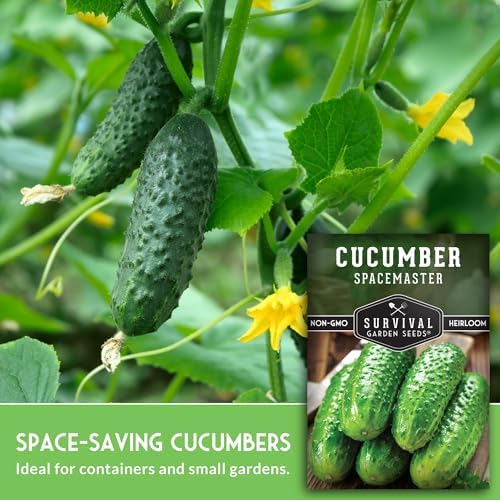 Spacemaster Cucumber Seeds for Planting - Bush Style Cucumbers (2 Packs) - Image 3