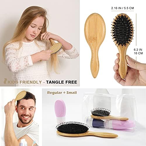 BESTOOL Hair Brush (Regular & Small), Boar Bristle Hair Brushes for Women Men Kids Thick Fine Curly Hair, Hairbrush for Detangling, Soften & Silky Shine - Image 5