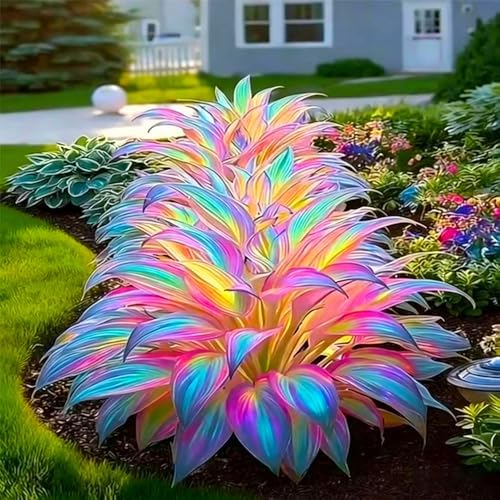 Mixed 305+ Hosta Seeds Mix for Planting,Colorsed Hostas Seeds Rare Perennial Under Trees & North Facing Areas Shade,Drought Tolerant Perennial Ground Cover with Decorative Gardens - Image 2