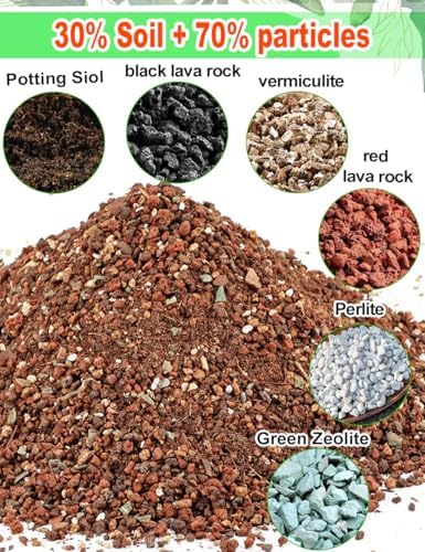 TOYPOPOR Succulent Soil, Cactus Potting Mix 2 Pounds/1 Quart, High Drainage, Pre-Mixed Ready to Use for All Succulent Varieties, Indoor Plants, Bonsai, Terrarium, Houseplant, 70% Particles 30% Soil - Image 2